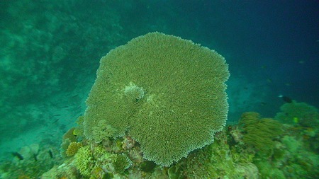 P0831162011S040