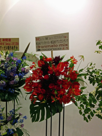 IMG_20140626_214957_edited-1