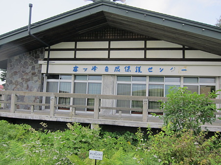 nagano 183