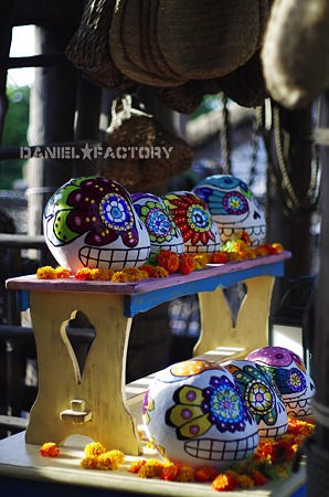 DANIEL★FACTORY_IGP2177