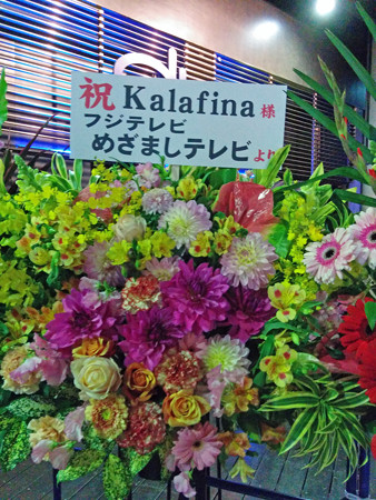 IMG_20150123_172239_edited-1