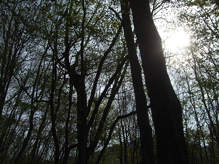 DSCF0724