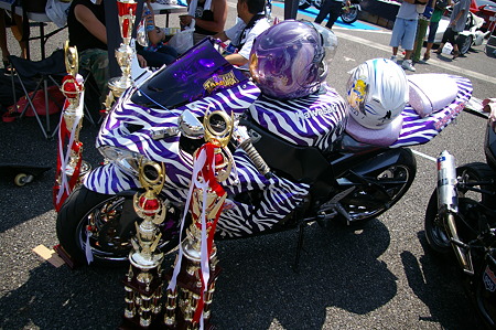 IMGP6179