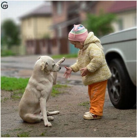 ほんわかあったかぞく 犬と少女の癒し画像 可愛いものブログ