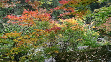 昇仙峡：紅葉も鮮やか