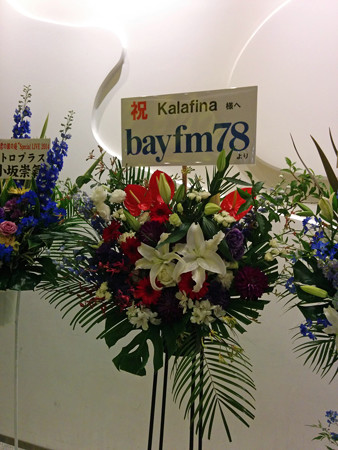 IMG_20140626_215013_edited-1