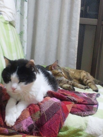 20120630何をしとったんや