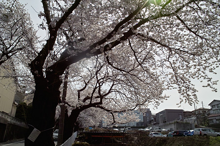 SDIM0255