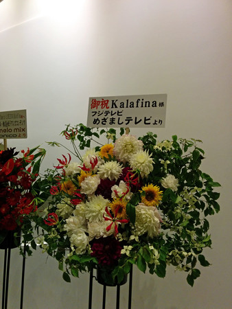 IMG_20140626_214945_edited-1