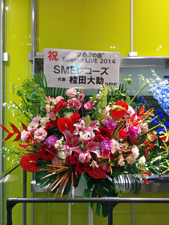 IMG_20140626_215123_edited-1