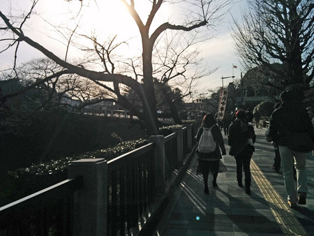 IMG_20150228_152754_edited-1