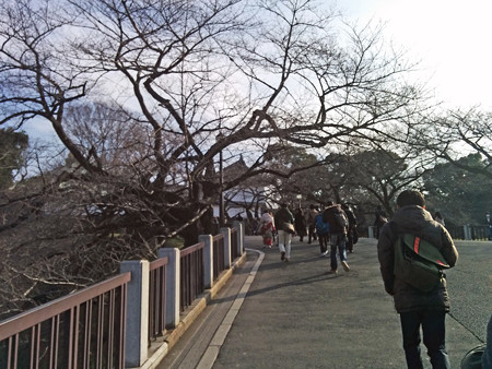 IMG_20150228_152834_edited-1