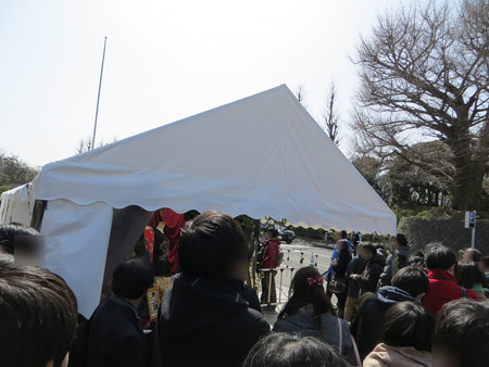 IMG_0876_edited-11151