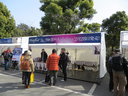 IMG_0907_edited-11212