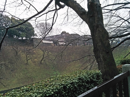 IMG_20150301_141726_edited-11417