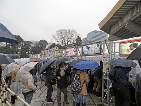 IMG_0946_edited-11406