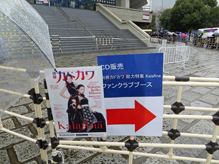 IMG_0963_edited-11411