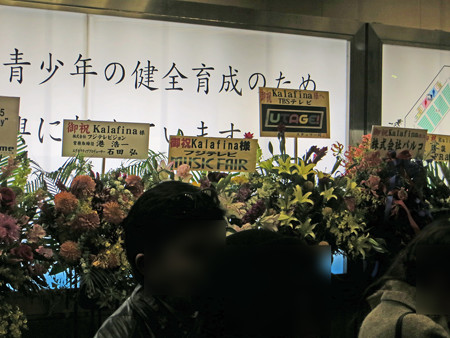 IMG_0981_edited-11831