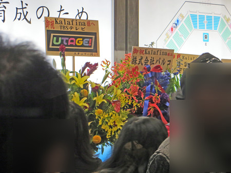 IMG_0983_edited-11832