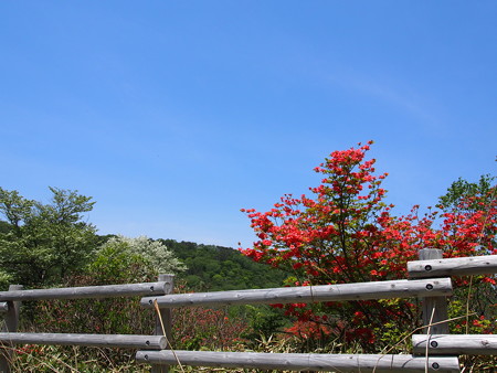 P5270455