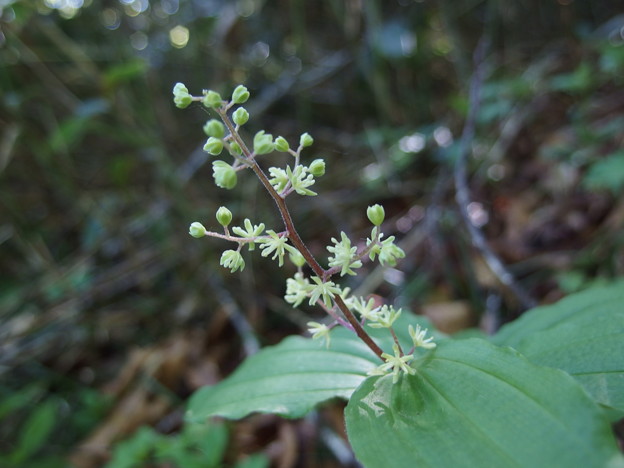 P6030344