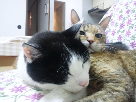 20120714_いちゃいちゃ