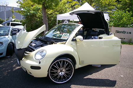 IMGP6202