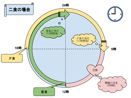 一日二食生活をやってみての個人的な感想 イマカコミライ あめーば