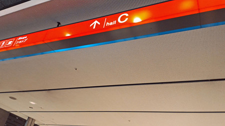 P_20150613_120100_edited-1