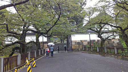 P_20150826_115125_edited-1