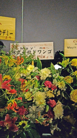 P_20150826_213857_edited-1