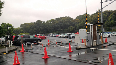 P_20150826_170827_edited-1