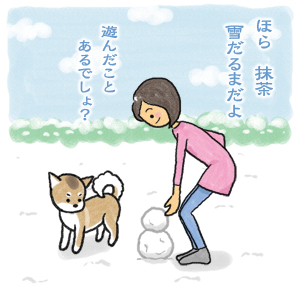 あたち柴犬　抹茶だヨ！(C)なかむら　まんぼう