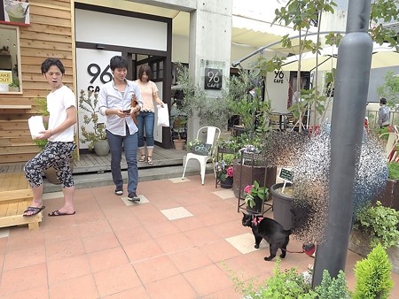 チャンプ長浜へ行く3