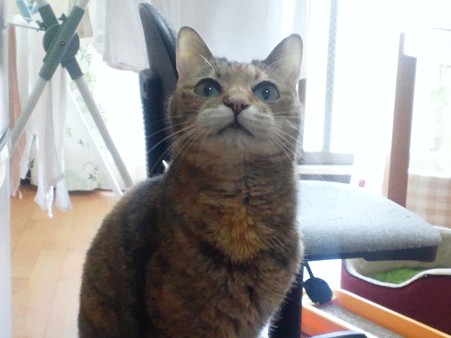 120430_チャンス