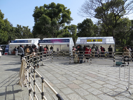 IMG_0913_edited-11213