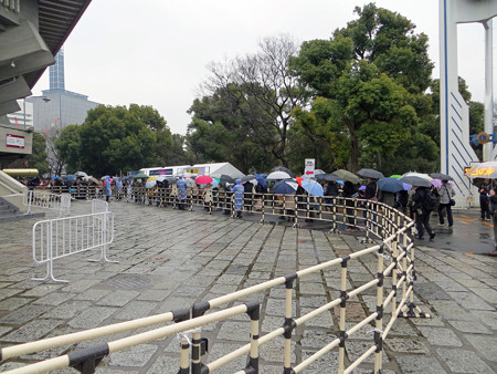 IMG_0964_edited-11411