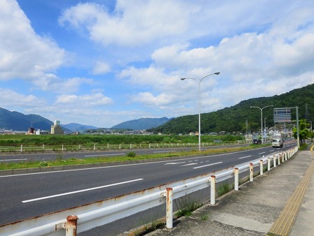 八木の西村ジョイの熱帯魚コーナーを見に行ってきました そこものログ