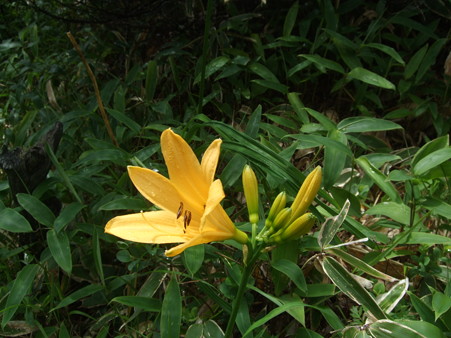 DSCF1731
