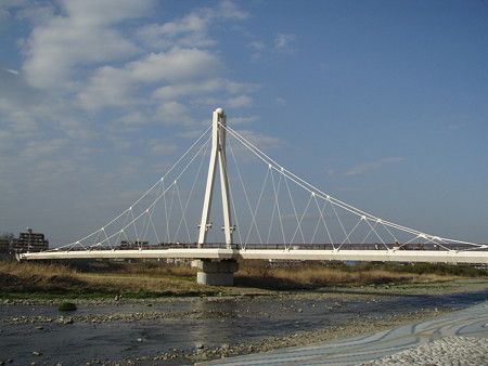 P3152518
