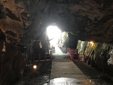 20181016gionshrine019