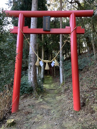 20200101hatsumoude008