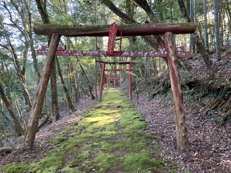 20200101hatsumoude012