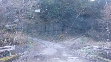 20200101hatsumoude028