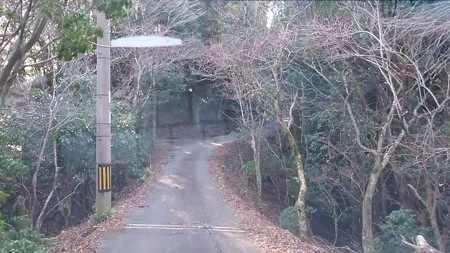 20200101hatsumoude032
