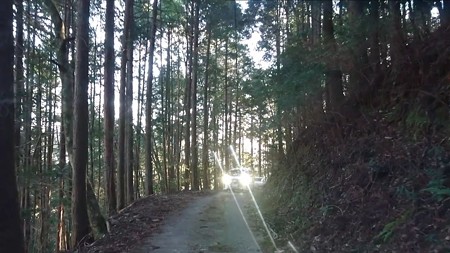 20200101hatsumoude035