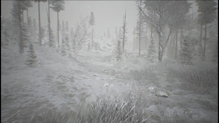 20200329-kholat006