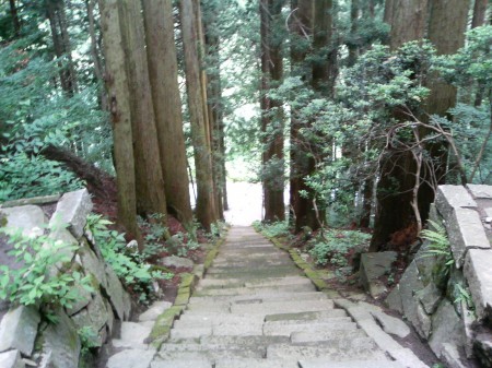 167_雲峰寺階段(下り)