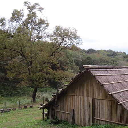 炭焼き小屋