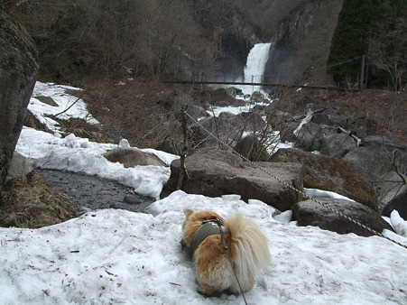DSCF0217